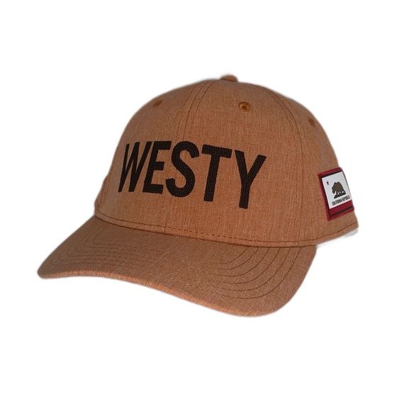 Rare GOWESTY SnapBack Hat CA Desert Orange Embroidered